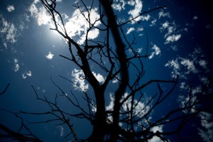 In this June 13, 2015 photo, the sun beats down on the Sahnish Scouts as they move across sections of land beyond the banks of the Little Missouri River. © Kristina Barker